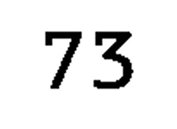 debug_number_y1071.png