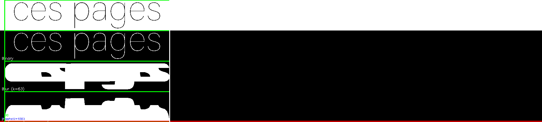 debug_line_11313.png