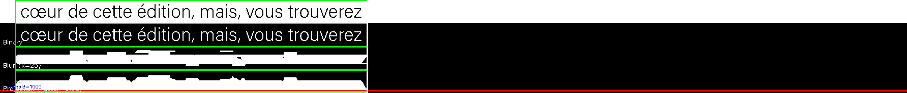 debug_line_11821.png