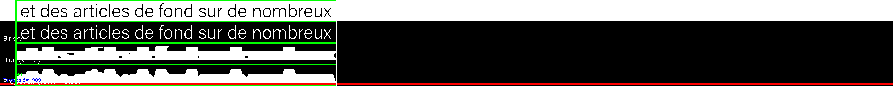 debug_line_11921.png