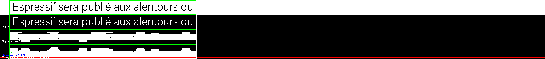 debug_line_12221.png