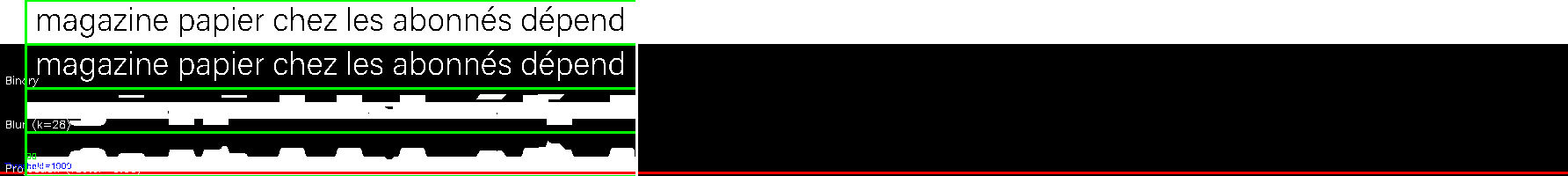 debug_line_12321.png