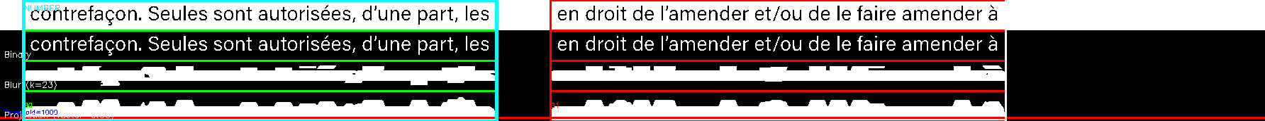 debug_line_6112.png