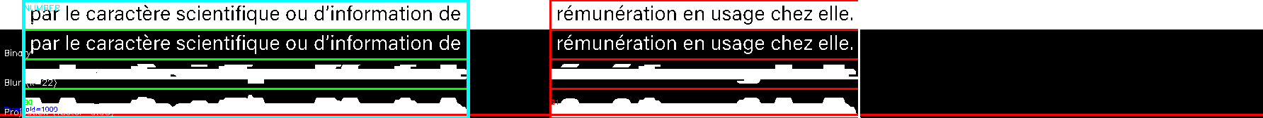 debug_line_6264.png