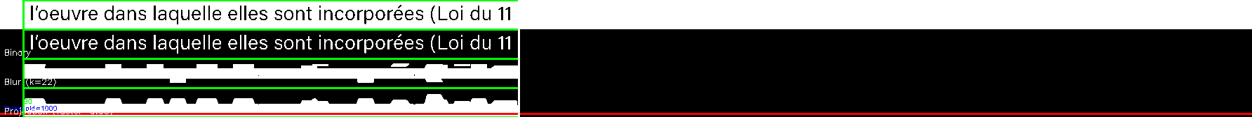 debug_line_6303.png