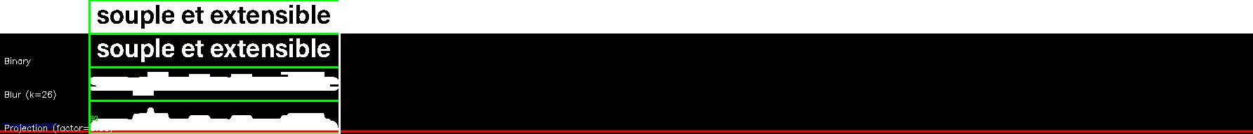 debug_line_8219.png