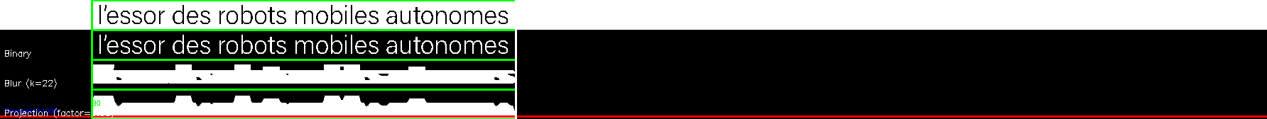 debug_line_9462.png