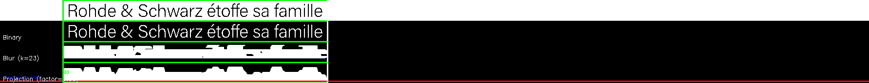debug_line_9576.png