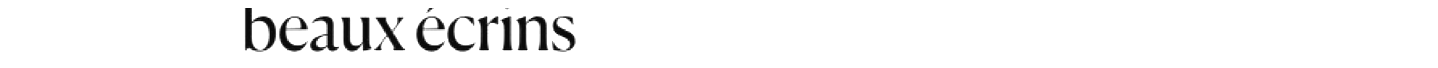 debug_text_y217.png