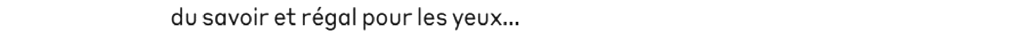 debug_text_y396.png