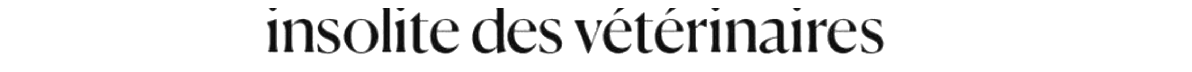 debug_text_y687.png