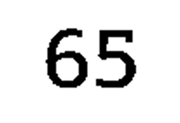debug_number_y1833.png