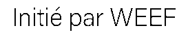 debug_text_y4412.png
