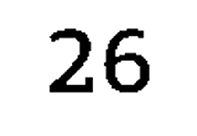 debug_number_y446.png