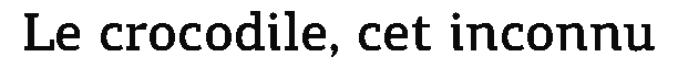 debug_text_y1293.png