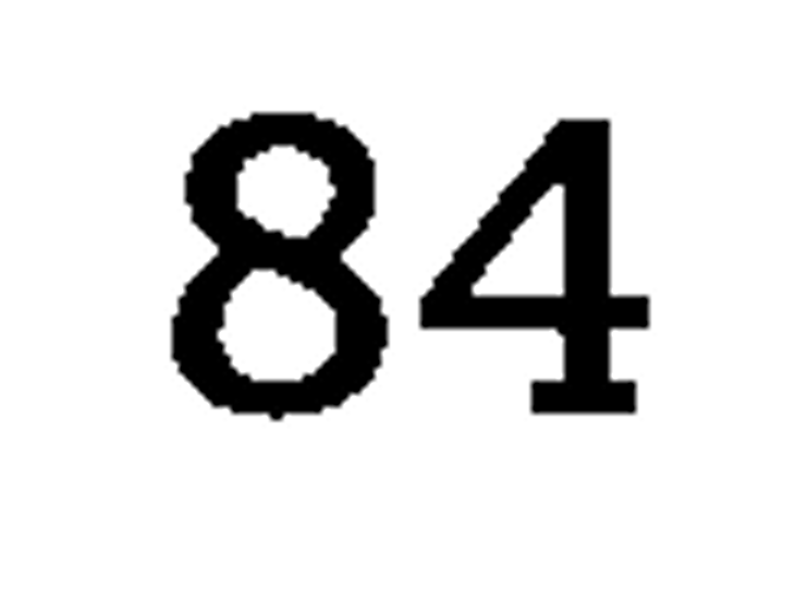 debug_number_y1949.png