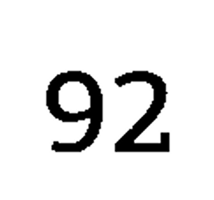 debug_number_y2028.png