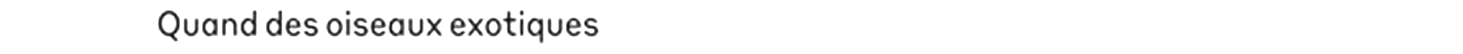 debug_text_y2408.png