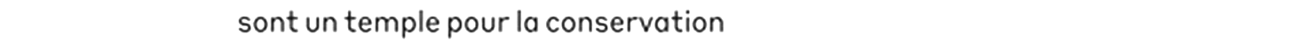 debug_text_y816.png