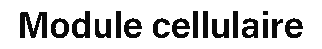 debug_text_y289.png