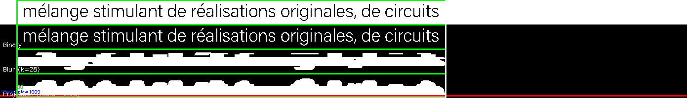 debug_line_6207.png