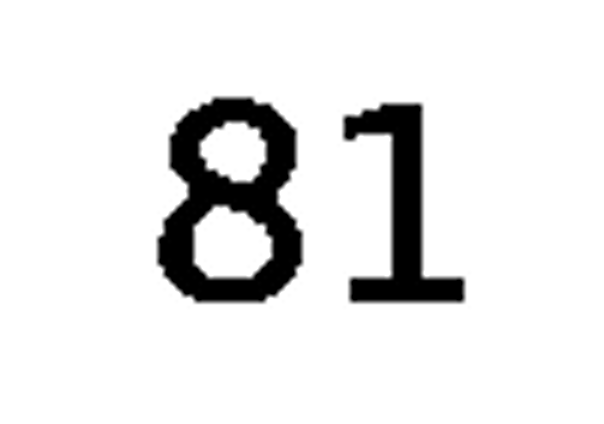 debug_number_y1232.png