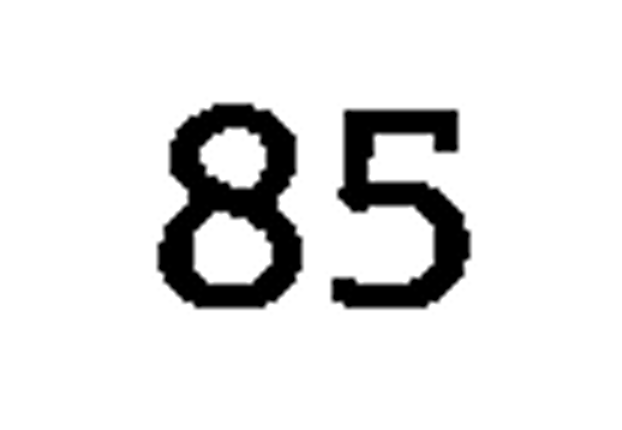 debug_number_y1291.png