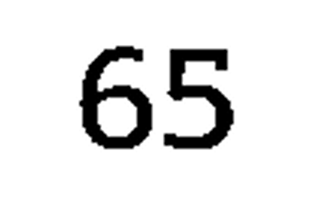 debug_number_y1333.png