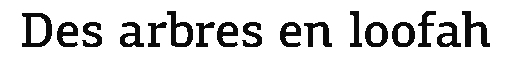 debug_text_y3095.png