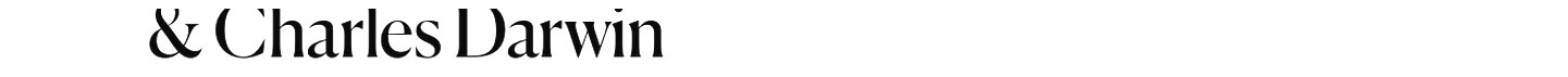 debug_text_y1776.png