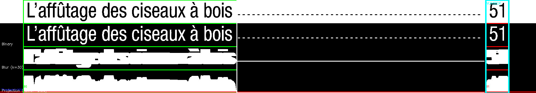 debug_line_2095.png