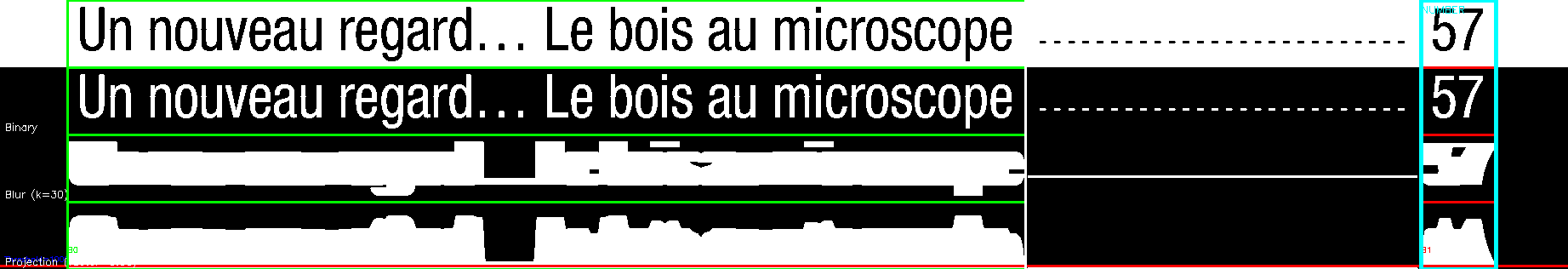 debug_line_2423.png