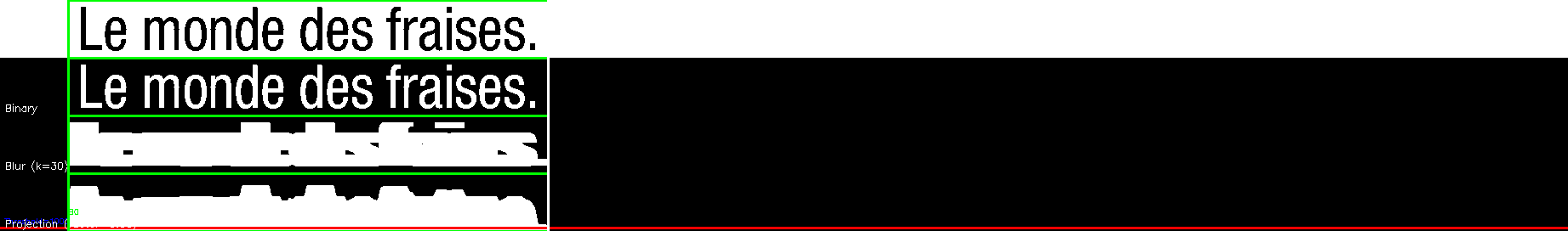 debug_line_965.png