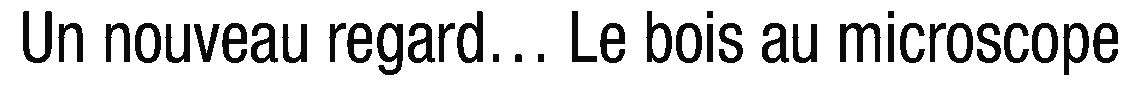 debug_text_y2423.png
