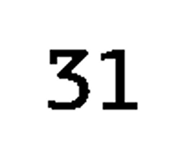 debug_number_y419.png