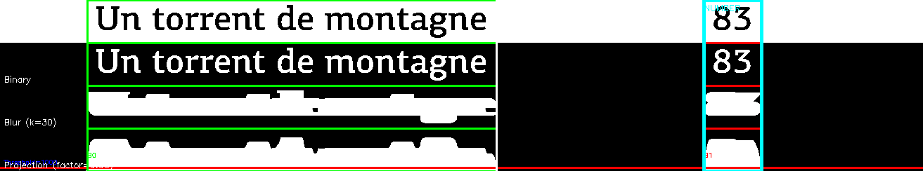 debug_line_2875.png