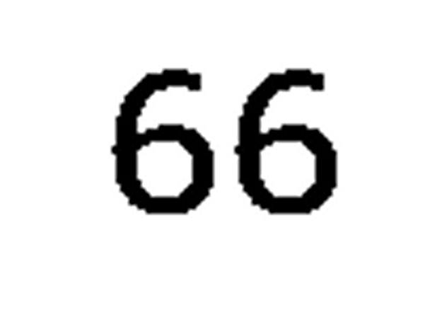 debug_number_y1955.png