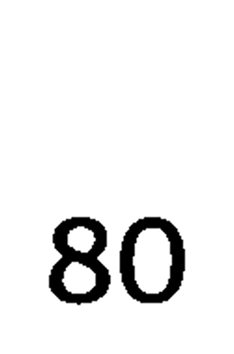 debug_number_y2381.png