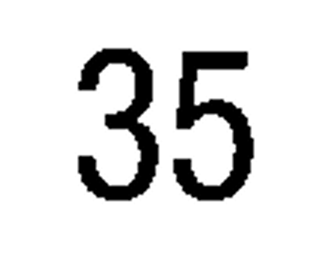 debug_number_y2265.png