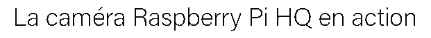 debug_text_y3575.png