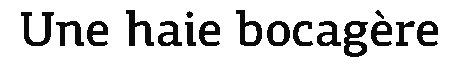 debug_text_y3132.png
