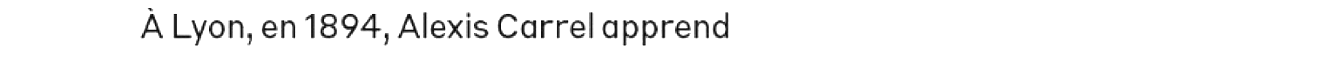 debug_text_y2495.png