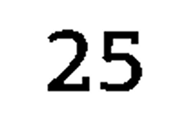debug_number_y455.png