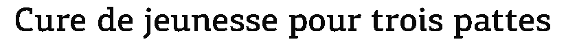 debug_text_y1101.png