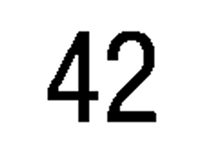 debug_number_y1855.png