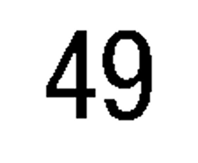 debug_number_y2075.png