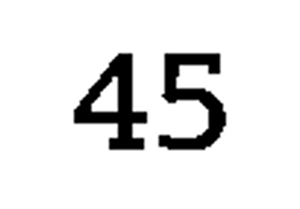 debug_number_y1039.png