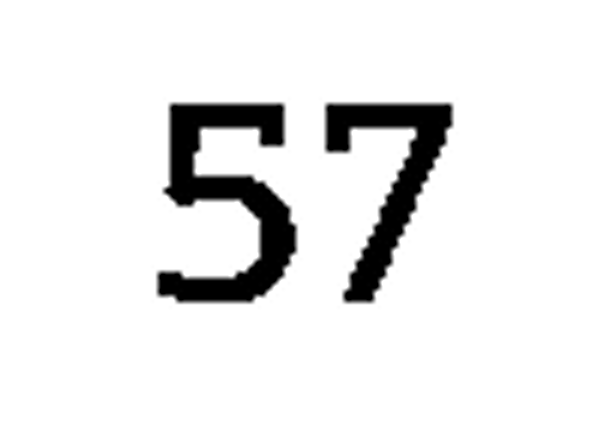 debug_number_y1401.png