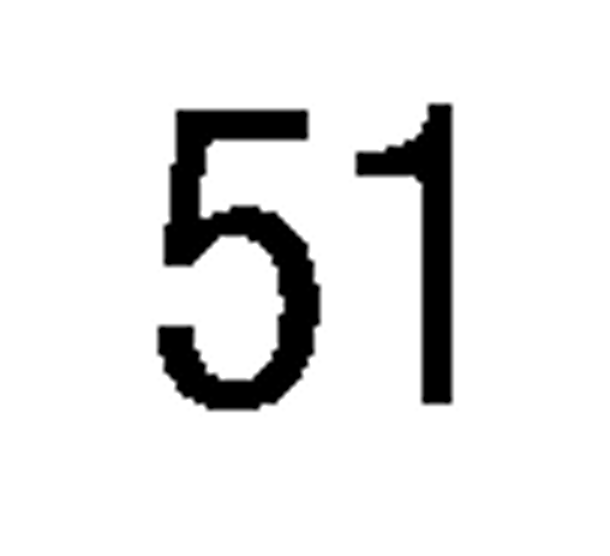 debug_number_y1891.png