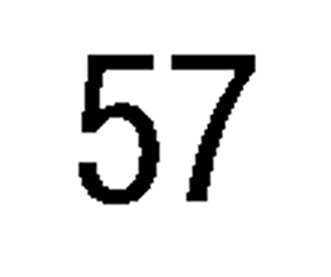 debug_number_y2117.png
